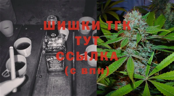 дмт Богородицк