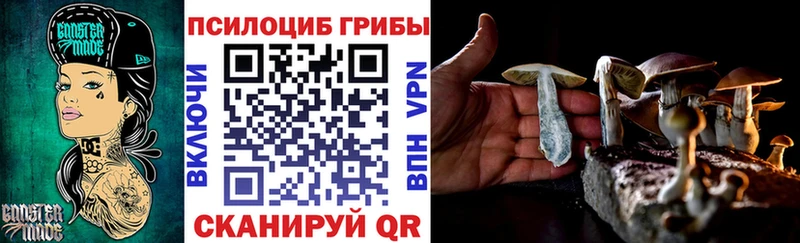 Купить где Кукмор Псилоцибиновые грибы Magic Shrooms